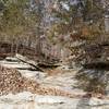 This is another example of the limestone creek bed by Turkey Creek.