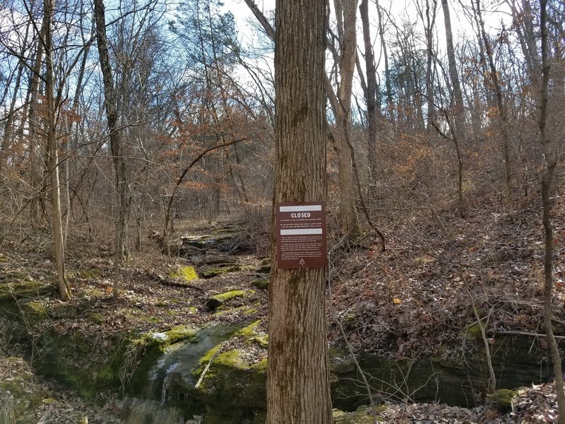 Do not enter caves! They are closed due to bat nesting and the prevalence of White Nose Syndrome.