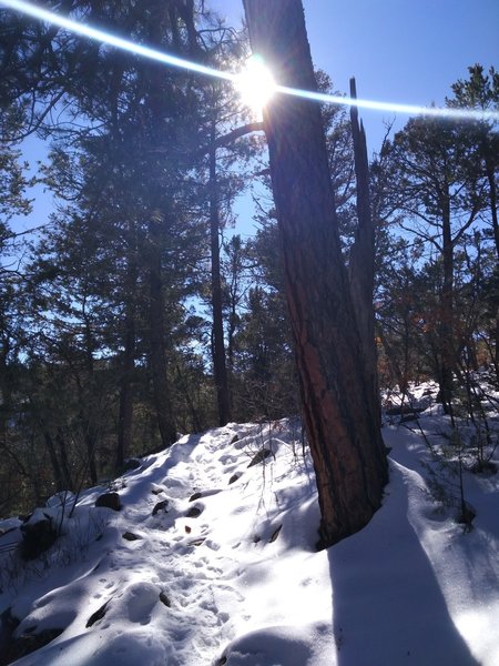 The South Sandia Crest Trail continues its steady grade through this spot about 4 miles in.