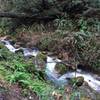 Enjoy beautiful, small falls along the path of the Purisima Creek Trail.