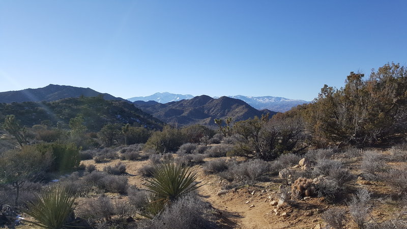 Soak in this view at the high point of the trail looking west towards Big Bear.