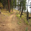 The Huckleberry Trail meanders through pine forests as it makes its way down to Payette Lake.