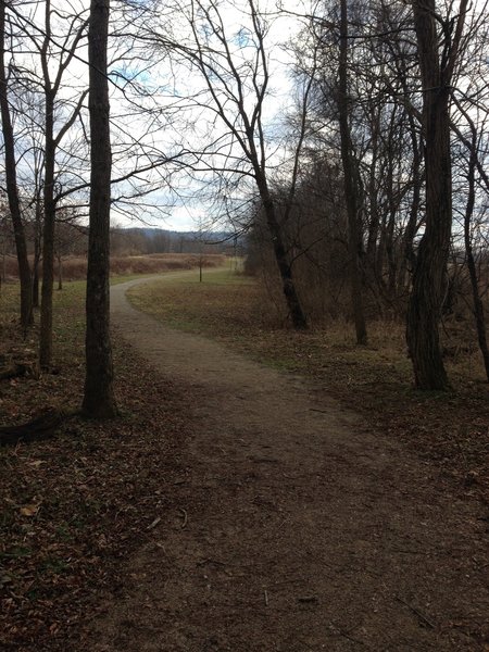 Enjoy this view exiting the woods on a clockwise journey around the loop.