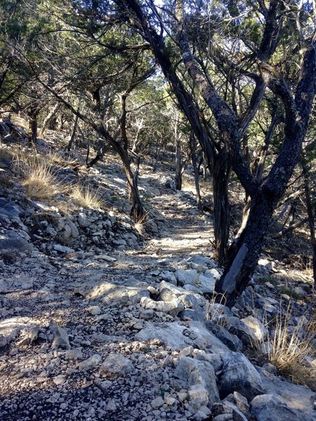 The terrain through which the Camp Eagle - Zip Trail passes is rocky and warrants watching where you place your feet.