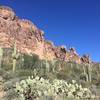 Saguaro and prickly pear guard the area near Peralta Spring.