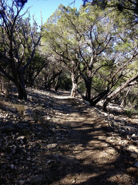 The mid-section of Upper Wagon Trail is smoother than others.