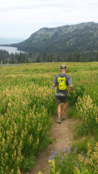 Cruising through wildflower meadows above Boulder Lake is a remarkable experience.