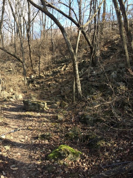 The path at Gnome's Garden on the Rozarks Trail is rocky and often covered in leaves.