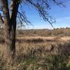 Ragle Ranch exhibits seasonal marshes near the trail.