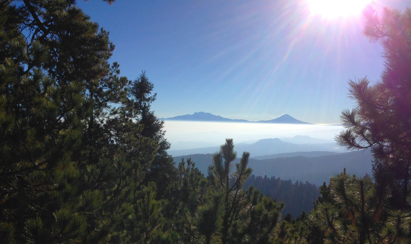 Enjoy this incredible vista showing Iztaccíhuatl and Popocatépetl as it pokes through the pines.