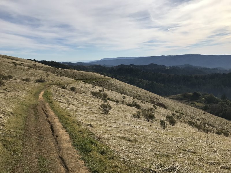 The trail makes its way down the hillside with views of the mountains and the ocean off to the right of the trail.