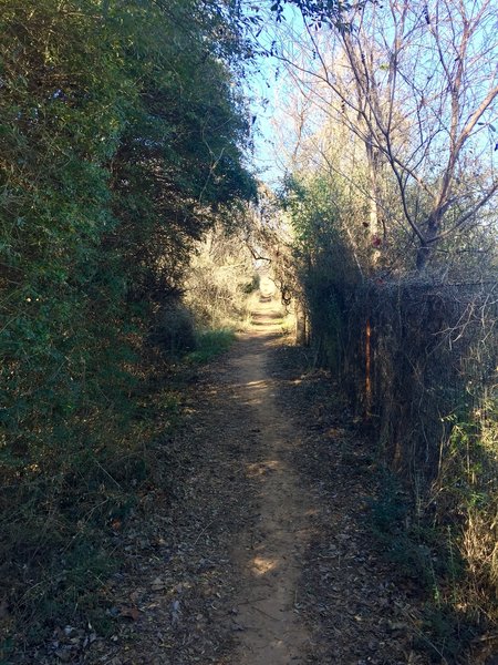 The Prairie Trail follows along the fence line of the prairie dog town.