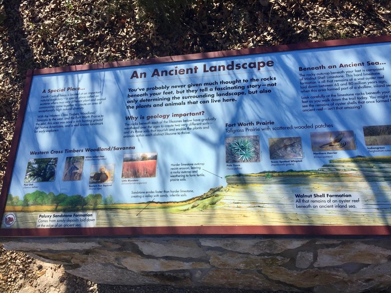 An informative kiosk is situated on the trail with good info on this ancient landscape.