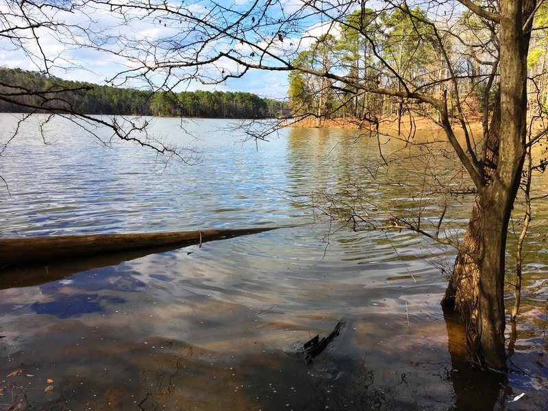 Find a quiet corner of the lake to truly enjoy its beauty.