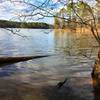 Find a quiet corner of the lake to truly enjoy its beauty.