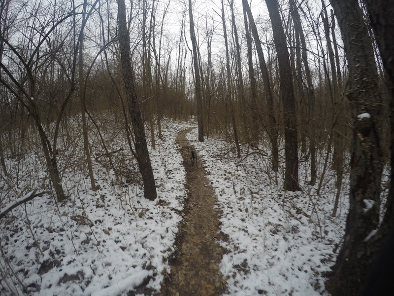 Snow-covered trail makes for a great experience on the Westwood Lake Trail.