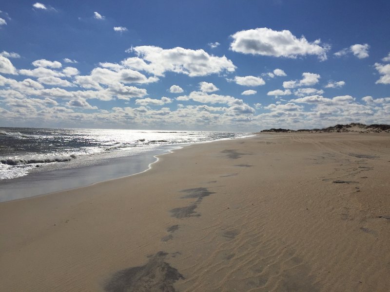 Sun, sand, and surf await you on the Cape Hatteras Loop Trail.