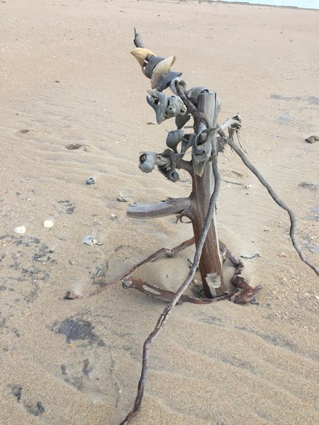 This is the marker on the beach for the "shortcut road". If you're not interested in a shortcut, continue to Ramp 48 for a longer hike.