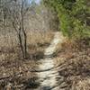 The singletrack trail travels next to the creek.