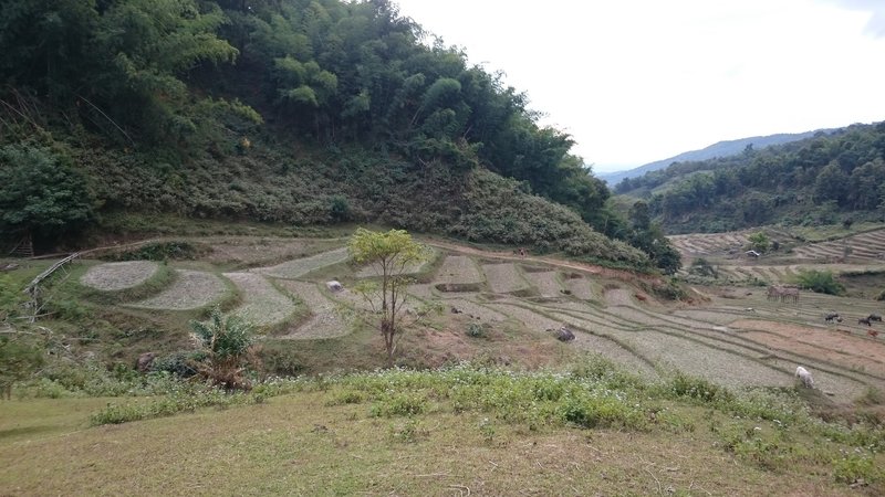 Enjoy this view of the Shire (Hobbiton) at Km 2.3 of the trail.