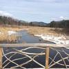 This beautiful boardwalk ushers visitors across the lower end of Rush Pond.