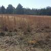 Enjoy this small meadow along the trail.