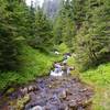 Cross Mitchell Creek on the Umbrella Falls Trail. Photo by John Sparks.