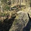 This handy boardwalk keeps you dry as you pass over a wet area on the Creek Trail.