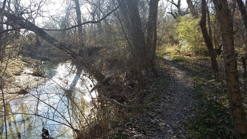 The Creek Trail lives up to its name as it follows the water's edge.