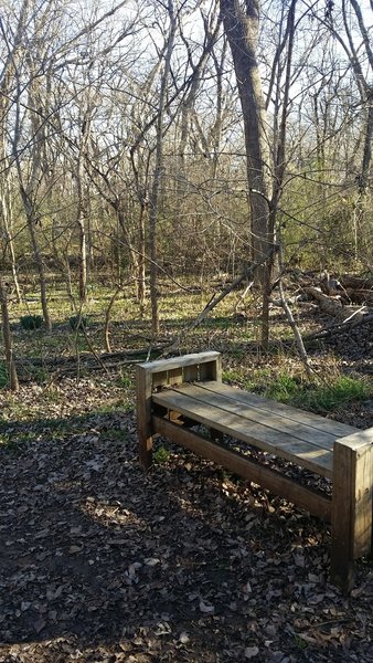 Take a seat on this nice bench to further enjoy your surroundings on the Creek Trail.