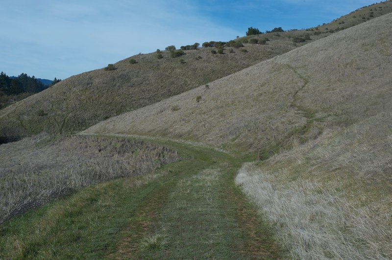 The Alder Trail follows a grass trail beneath the Hawk Ridge Trail as it winds its way to the gate close to the park boundary.