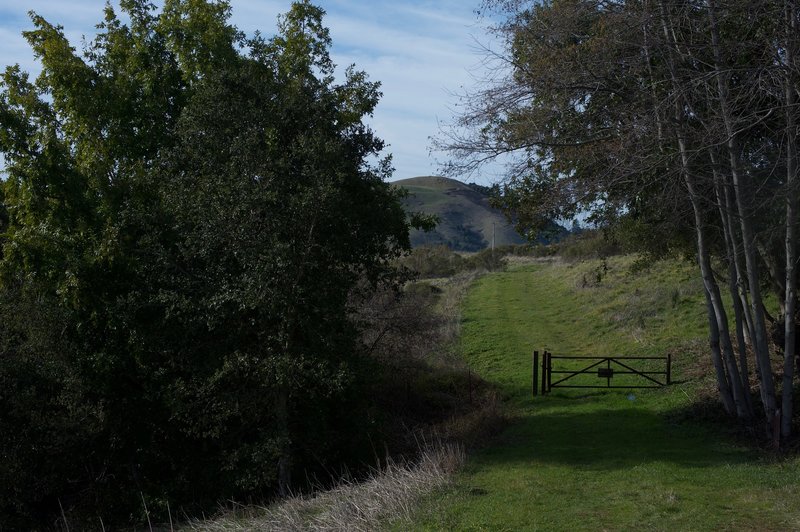 The trail ends at this gate close to the park boundary. Water runs through the gully where the trees are.