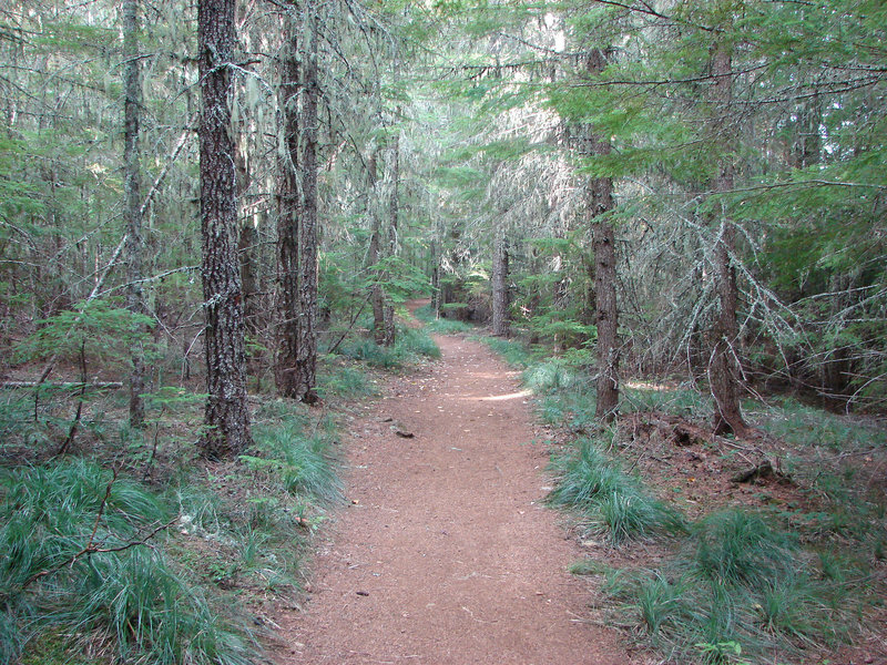 The Southshore Trail is well manicured near Oak Fork Campground. Photo by Yunkette.