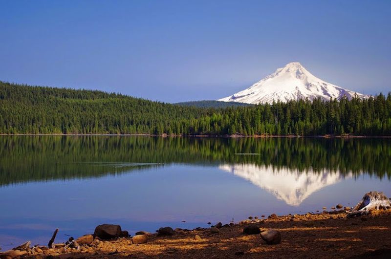 Mt. Hood stands prominently in the distance from the Shoreline Trail. Photo by Gene Blick.