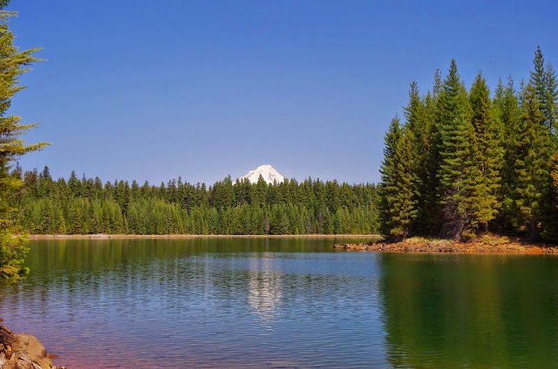 Looking north on the Timothy Lake Trail, enjoy beautiful views of the North Arm and Mt. Hood. Photo by Gene Blick.