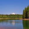 Looking north on the Timothy Lake Trail, enjoy beautiful views of the North Arm and Mt. Hood. Photo by Gene Blick.