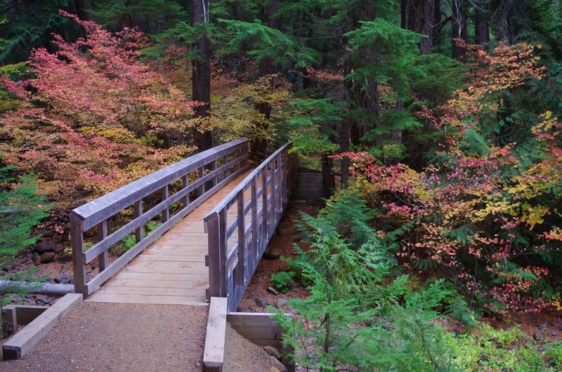 This sturdy bridge guides your passage over Dinger Creek on the Timothy Lake Trail. Photo by Gene Blick.