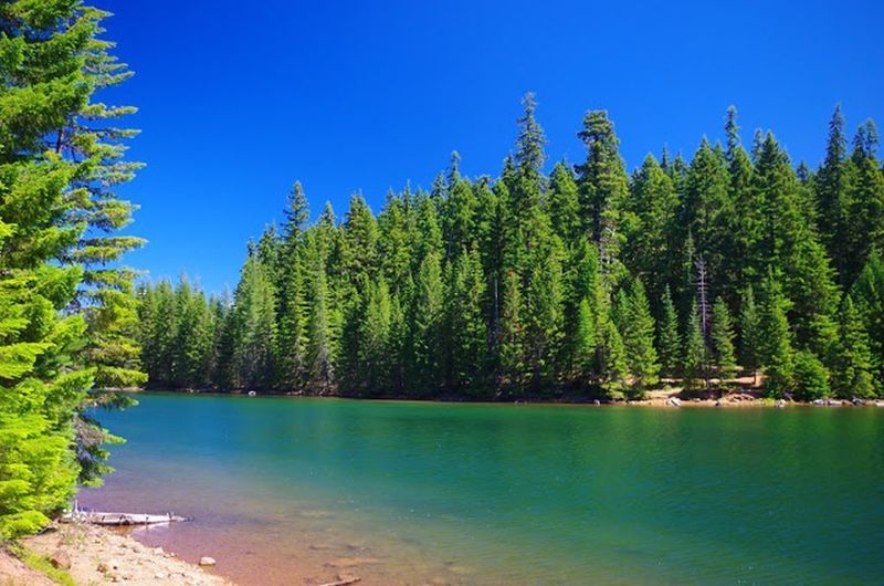 The lake water in the North Arm part of Timothy Lake can appear bluish green. Photo by Gene Blick.