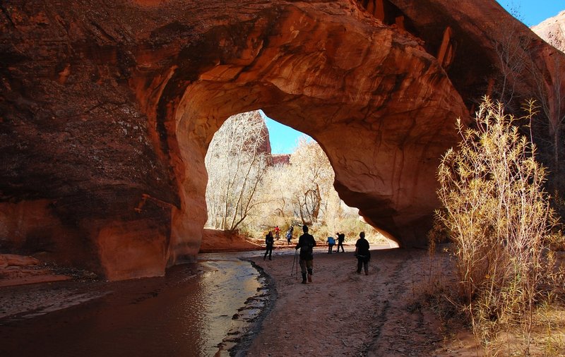 Coyote Natural Bridge makes for great photo opps deep in the canyon.