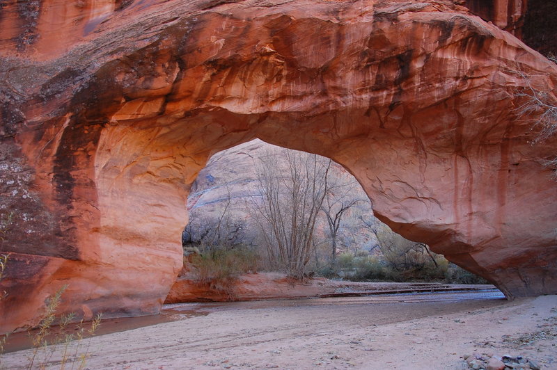 While smaller than others in the area, this arch in Coyote Gulch is worth a visit.