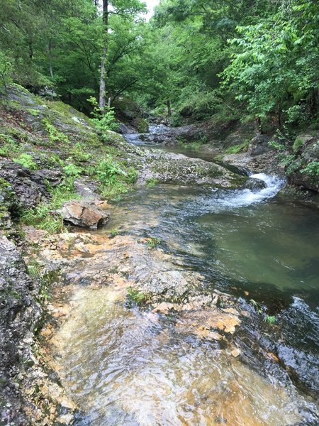 The Little Missouri River winds through the forest.