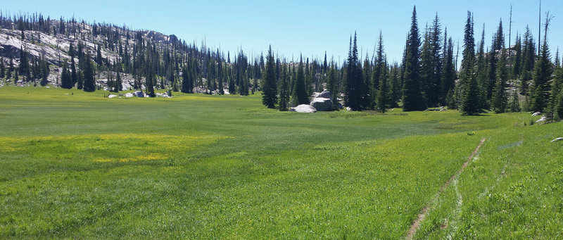 Enjoy numerous meadows along the Crestline Trail.