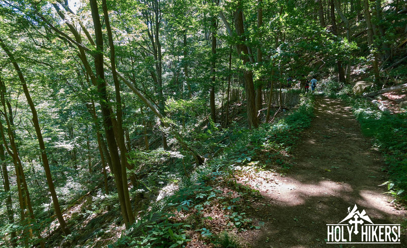 Enjoy this nice path along Popolopen Creek.