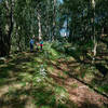 The trail climbs through dense woodlands in this section.