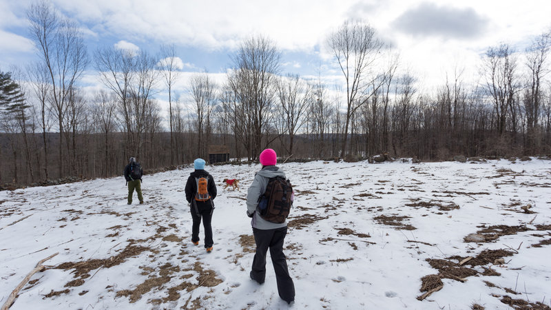 Our group approaches a shelter near the 4-H camp in Rutland.