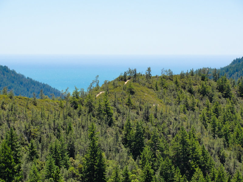 Look back from Hihn Hammond Road to experience great views of the McCrary Ridge Trail and the Pacific Ocean.