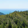 Look back from Hihn Hammond Road to experience great views of the McCrary Ridge Trail and the Pacific Ocean.