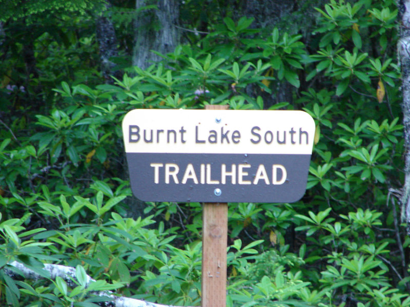 The road to Burnt Lake South Trailhead is difficult and best accessed by high-clearance vehicles. Photo by Yunkette.