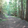 The old road was often used by local Native American tribes for huckleberry picking. Photo by Yunkette.