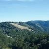 Enjoy this view of the surrounding mountains from the Ancient Oaks Connector Trail. Meadows, possibly created by early Native American inhabitants, can be found throughout the area.